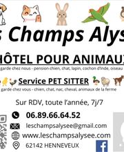 Les Champs Alysée image 4