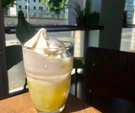 Matcha Affogato
cremiges Vanilleeis mit grünem Tee