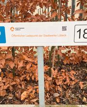 Stadtwerke Lübeck Bild 1