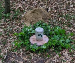 Ein Mustergrab im FriedWald Cloppenburg - das Grab wird mit natürlichen Materialien geschmückt.