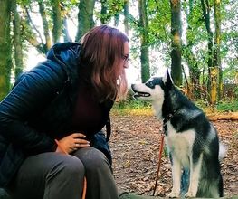 Hundezentrum Lapki Bild 7
