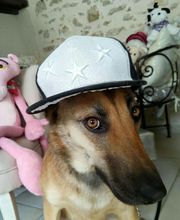 Le Salon des Stars image 20