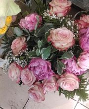 Gorieu Viviane image 5