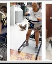 Abuelo Cómodo imagen 16