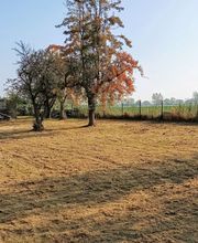 Dienstleistungsservice Kankel Bild 1