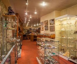 Espace Collections image 18