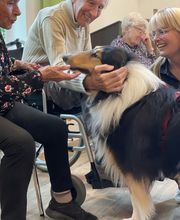 Malteser Hilfsdienst Bild 6