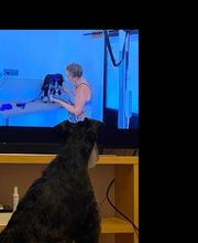 Toiletteur Zencani'cat image 17