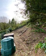 Baumdienst Behan Bild 2