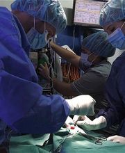 Clinique Vétérinaire des Docteurs Bichot et Esnault image 2