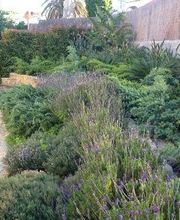 Jardinería Bordera imagen 5