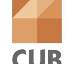 Cub image 3
