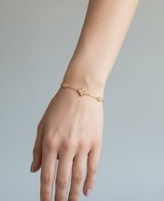 MACA image 3