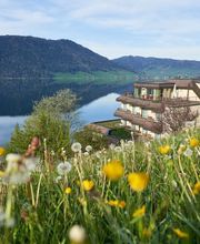 Zentrum Breiten Bild 2