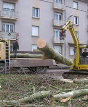 Frys Paysage SAS image 7