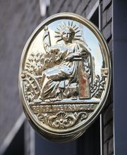 David Leveque image 1