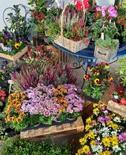 La Halte Verte image 8