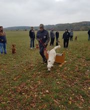 Hundeschule HundZunft Bild 4