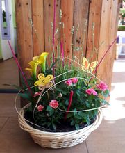 Marion les Fleurs image 9