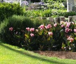 Vogt Gartendesign Bild 2