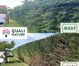 Quali Nature image 12