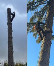 MD Saintrapt image 8