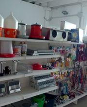 Gallery Cliente