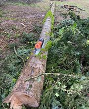 Pierre Elagage et Paysage image 1