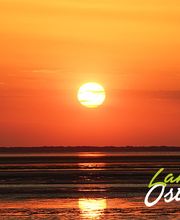 Ferienhof Landlust Osterwarf Bild 16