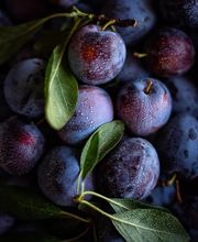 Stalder Schweizerfrüchte AG Bild 2