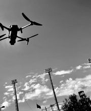 Vivaro Producciones S.L. imagen 6