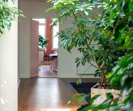 physioconcept | Praxis für moderne Physiotherapie Nürnberg Bild 14