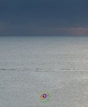 308324490-1-6KibADmsXq1778954765625.jpeg