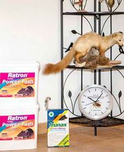 DELE Schädlingsbekämpfung GmbH Bild 6