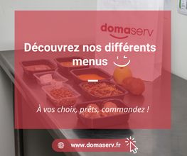 Domaserv image 4