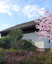 Stark im Garten Bild 41