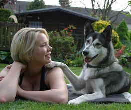 Hundeschule Simone Kühl Bild 1