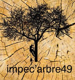 Impec'arbre 49