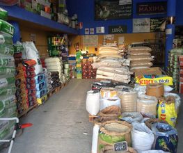 agrobotiga-bitxos-lescala-interior-02.jpg