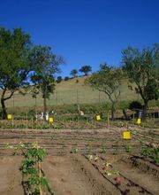 MI HUERTO EN TRES CANTOS 224763417_0001_20170523(2).jpg