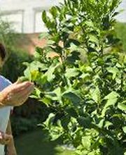 Residencia de Ancianos Simancas, Madrid | VITALIA HOME imagen 13