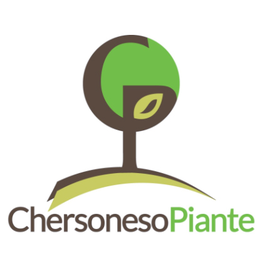 Vivai Chersoneso Piante Produzione di Plumeria e Ornamentali logo