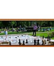 Restaurant Salut Bild 6