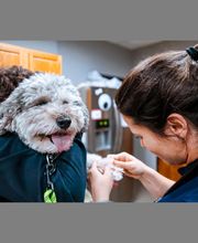 Highlands-Eldorado Veterinary Hospital image 3