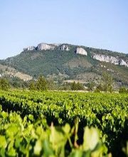 Domaine De Mermes GAEC image 1