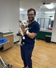 Southern Trails Vet image 12