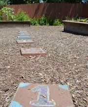 Merit School at The Castle image 5