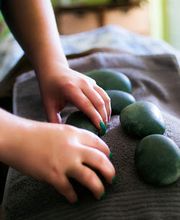 The Body Mechanics image 8