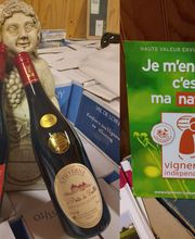 Vignoble Tévenot image 3