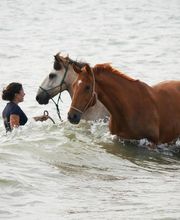 Ponte F SARL image 12
